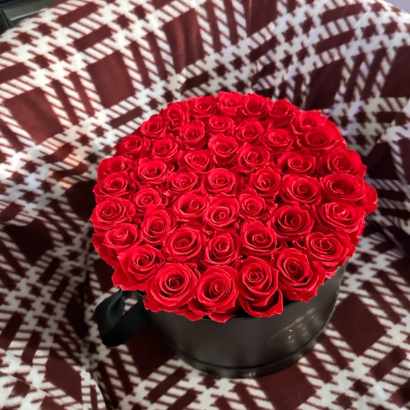 Forever Roses - Picture 5 of 5